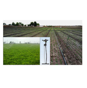 Aspersor agrícola de alta calidad con mini aspersor de tamaño personalizado para aspersión de riego para venta de exportación - Product Image 3