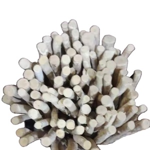 Miswaks เปลือกแห้งคุณภาพชั้นนําพร้อมการออกแบบบรรจุภัณฑ์ที่สวยงามมีจําหน่ายในราคาที่สมเหตุสมผลมาก sewaks แห้ง - Product Image 1