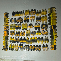 Pierre précieuse artisanale Abeille, paire de pierres précieuses naturelles polies, pierres brutes pour bijoux, vente en gros disponible, meilleur prix