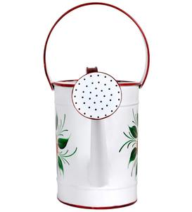 การรดน้ำโลหะสามารถพิมพ์ได้,ถังรดน้ำสวนทำจากเหล็กกระป๋องสำหรับรดน้ำต้นไม้ในสวนดอกไม้ - Product Image 2