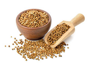 Aceite esencial de semilla de cilantro de grado 100% puro y natural en la India Fabricante al por mayor de fábrica de aceite esencial de semilla de cilantro - Product Image 2