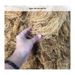 สาหร่ายทะเลดิบจากเวียดนามสำหรับทำแคปซูลซีมอส คอมโบสาหร่ายทะเลบริสุทธิ์ ขายส่งจำนวนมาก สาหร่ายทะเลแห้งในเวียดนาม - Product Image 5