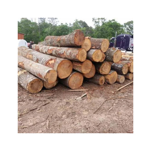 ไม้ฟืน - Product Image 1