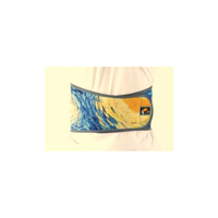 [CEINTURE DE TAILLE DE SANTÉ DE MAMAN] Ceinture de soutien de taille au meilleur prix avec vêtements de soins de santé géomagnétiques