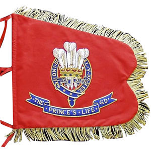 Banderín de pancarta con bordado de hilo táctico con poste de latón decorativo personalizado, Bandera de venta completa y pancarta con flecos dorados - Product Image 5