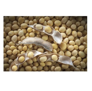 Top Sale <b>Soybeans</b> Guaranteed Quality Common Plant Yellow Soya Bean Seed - Product Image 1