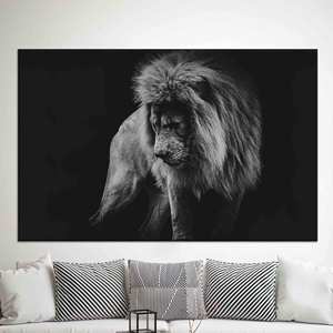 Art photo Lion majestueux : Décoration murale sur toile imprimée, TOILE ENVELOPPEE - Product Image 1