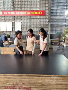 กาวฟีนอล WP ไม้อัดสำหรับงานแบบขึ้นรูปกลางแจ้งขนาด610x2500x20มม. - Product Image 3