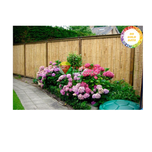 Poste de bambú de Vietnam, material natural fuerte de primera calidad para la artesanía de muebles, paisajismo y exportación internacional, suministro al por mayor - Product Image 2