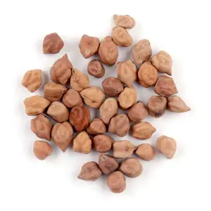 Great quality wholesale salted roasted chickpeas from Uzbekistan manufacturer in custom packing for export