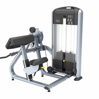 Máquina Combinada para Bíceps y Tríceps, Equipo de Entrenamiento de Brazos de Doble Función para Gimnasio, Ahorro de Espacio, Equipo de Fuerza