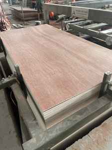 Contreplaqué commercial de première qualité E2 Vietnam, moderne, Bintangor/Okume/Pin, surface 4x8, film marin pour meubles - Product Image 5