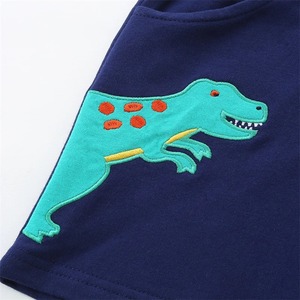 Shorts pour hommes Shorts de bain pour hommes Maillots de bain d'été Homme Maillot de bain Maillot de bain Sexy Shorts de plage Planche de surf Vêtements pour hommes Pantalons - Product Image 5