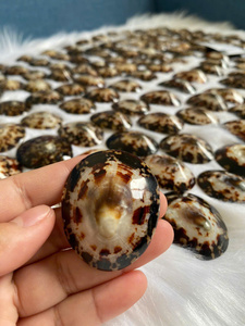 FORTEMENT RECOMMANDÉ LES FEMMES CONFORT MAMINE DE MAMAN NATUREL ALLAITEMENT COQUILLES POUR ENCEINTES MEILLEUR VENDEUR SHELL - Product Image 5