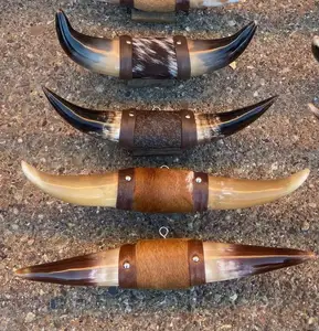 Paires de cornes de taureau polies, cornes de bœuf Longhorn, montées, nautiques, faites à la main, de haute qualité, pour décoration murale, décoration intérieure, agate - Product Image 1