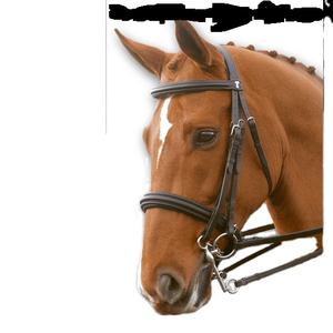 Brida Weymouth doble elevada - Product Image 1