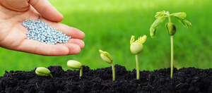 ปุ๋ยเคมีสูตร NPK 28-5-5 ละลายน้ำได้ คลอไรด์ต่ำ ออกฤทธิ์ช้า-เร็ว สำหรับการผลิตพืชผลในรูปแบบผง SOP ผลิตในสหรัฐอเมริกา - Product Image 3