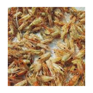 เปลือกกุ้งแห้งคุณภาพสูงจากซัพพลายเออร์เวียดนามราคาสมเหตุสมผลและบรรจุในถุงเพื่อการตลาด - Product Image 5