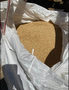 Granos de Trigo Duro Orgánico, Semillas de Trigo Integral para Hornear y Cocinar, Suministro a Granel - Product Image 4