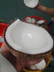 Crema de coco Premium de Vietnam con opciones de suministro a granel, ideal para cocinar, hornear y exportar a los mercados mundiales de alimentos - Product Image 5