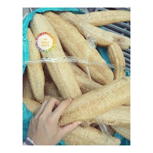 Premium Natural Loofah <b>Sponge</b> From Vietnam Eco Friendly Product For Bath <b>Shower</b> Body Care And Cleaning Purpose - Product Image 3