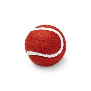 Europio Pallina Personalizzata per Cani, Gadget Promozionali Personalizzati per Animali Domestici - Product Image 3