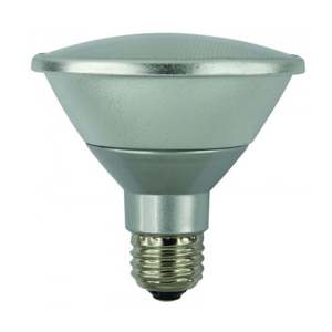 13W Par 30 LED <b>Bulb</b> Energy Efficient Lighting Product - Product Image 1