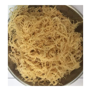 สาหร่ายคุณภาพสูงจากเวียดนาม - Product Image 5