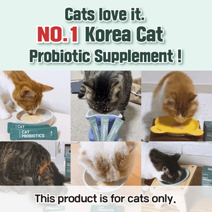 DR.BY Cat Suplemento de PROBIÓTICOS para el manejo del estreñimiento Salud estomacal e intestinal Cuidado de la nutrición de mascotas Premium - Product Image 5