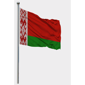 Custom Bilorussie Exterior Flag Digital Printing Techniques Aluminum Pole Pennant Style Cotton Nylon <b>Plastic</b> Silk Custom Cloth - Product Image 1