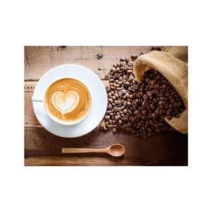 Café Instantáneo Premix con Sabor a Cappuccino Fenzo de Primera Calidad al por Mayor, Sabor a Crema Dulce, Fabricante de la India, en Polvo, Brix 8 - Product Image 1