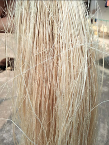 ใยกล้วยเป็นมิตรกับสิ่งแวดล้อมสำหรับอุตสาหกรรมบรรจุภัณฑ์และผ้าไม่ทอ - Product Image 5