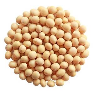 Grano de soja crudo de alta calidad y buena calidad en bolsas para alimentos a bajo precio - Product Image 3