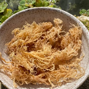 Suministro DE FÁBRICA DE Vietnam, algodón seco, musgo marino, puro algodón seco, musgo marino secado al sol, listo para exportar a todo el mundo - Product Image 1