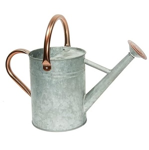 Arrosoir en métal d'aspect luxe moderne pour plantes, arrosoir de jardin pour enfants, arrosoir de fleurs pour jardinage domestique - Product Image 4