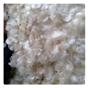 เกล็ดปลาตากแดดสำหรับเจลาติน | คุณภาพสูงและราคาไม่แพง - Product Image 6