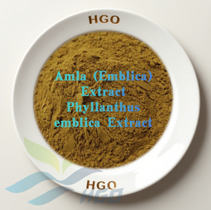 Suministro directo de fábrica de HGO de extracto puro de Amla (Emblica) natural, extracto de Phyllanthus Emblica (grado alimenticio), especificación 10:1 - Product Image 1