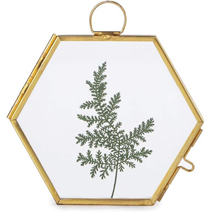 New Design Brass Border Clear <b>Glass</b> Hexagon Shape Wall Hanging Pressed Flower Decorate Wedding <b>Picture</b> Photo <b>Frame</b> Save Memories - Product Image 3