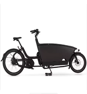 จักรยานบรรทุกสินค้าอุตสาหกรรมรุ่นใหม่ มอเตอร์ขับเคลื่อนกลาง 250 วัตต์ แบตเตอรี่ลิเธียมระยะไกล 3 ล้อ สำหรับส่งของ ยี่ห้อ OEM จักรยานไฟฟ้า - Product Image 1