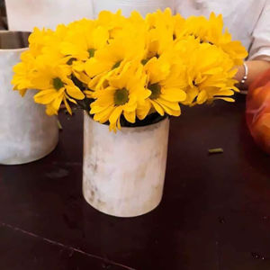 Portalápices de Cuerno de Búfalo que Combina Elegancia y Durabilidad, Perfecto para Decoración de Escritorio, Alta Calidad - Product Image 1