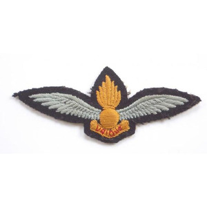 Écusson brodé à repasser avec logo d'escadron - Product Image 5