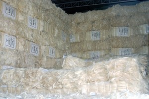 Fournisseur et fabricant leader de fibres de sisal naturelles, proposant des fibres de sisal de haute qualité et de première qualité pour le filage, respectueuses de l'environnement, en vente - Product Image 4