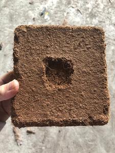 Coco Peat Growing Medium: Eco-Friendly, Biodegradable Solution for Seed Starting, Potting Mixes, Thriving Plants in Garden - Product Image 6