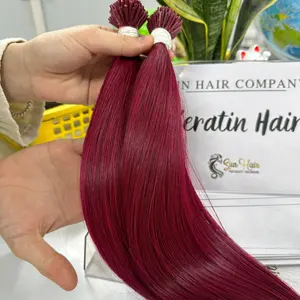 Großhandel Premium-Qualität Hot Trend ing Farbe Pflaume I Tipp Keratin Haar vietnam esische Echthaar verlängerungen