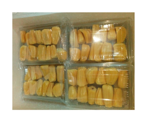Jackfruit congelado de Vietnam de grado premium-carne amarilla brillante y segmentos jugosos Jackfruit congelado para importación y exportación - Product Image 2