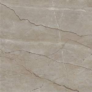 Découvrez les principales marques indiennes de carreaux en porcelaine élégants et durables de 600x600 mm, de bonne qualité, avec finition marbre pour la maison. - Product Image 5