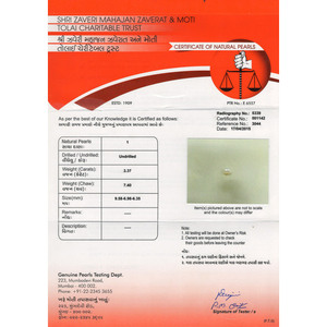 Perle de Basra 3,37 carats, perle d'eau douce naturelle blanche pour bijoux et fabrication de bijoux - Product Image 4