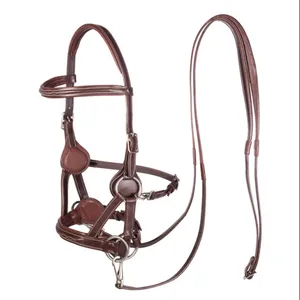 F.R.A. dietsji Bitless Bridle (System 5)