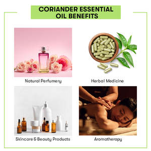 Aceite Esencial de Cilantro 100% Puro de Grado Terapéutico, Ingredientes Herbales Orgánicos de Hinojo para el Cuidado del Cabello y el Cuerpo, 30 ml, Suministro OEM - Product Image 5