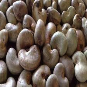 เม็ดมะม่วงหิมพานต์เค็มอาหารว่างที่มีคุณภาพสูง - Product Image 5